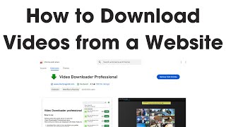 How to Download Videos from Any Website for Free  Video Downloader Professional Tutorial [upl. by Ailedamla]