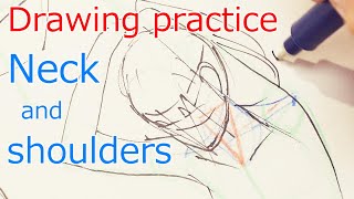 首と肩のワイヤーを描く練習  Drawing practice Neck and shoulders [upl. by Sabec]