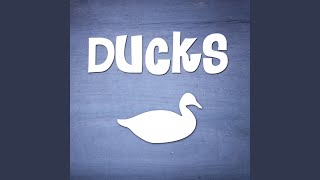 Ducks Quacking Sound Effect Ringtone [upl. by Stannwood]