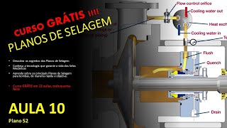 Aula 10  CURSO GRATÍS DE PLANOS DE SELAGEM EM 12 AULAS  Conheça os planos de selagem API de bombas [upl. by Petulia3]