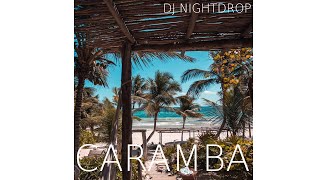 DJ Nightdrop  Caramba Official Audio [upl. by Diskin31]