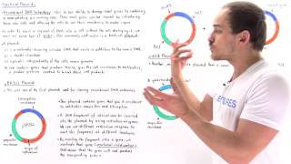 Processes of Recombinant DNA Technology Part 1 512 1 [upl. by Sculley]