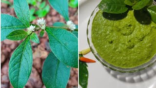 sessile joyweed chutney ಹೊನೆಗೊನೆ ಚಟ್ನಿ  ponnankannikkira chammandhiaati special [upl. by Tesler]