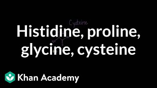 Special cases Histidine proline glycine cysteine  MCAT  Khan Academy [upl. by Marlowe]