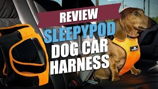 Sleepypod Dog Car Harness Review [upl. by Ailugram]