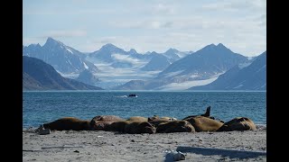 Spitzbergen 2024 [upl. by Ailana975]