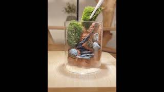 Transform a Glass Cup into a Mini Terrarium terarium minigarden glasscupterrarium diy [upl. by February]