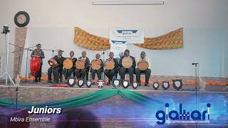 Nyeredzi  Jah Prayzah Mbira Ensembles Junior Schools Rendition Wise Owl Primary School Westgate [upl. by Haldi741]