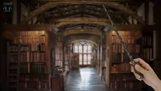 Hogwarts Library ASMR ⚡ Harry potter Ambience  Relaxing Page flipping amp Book sounds [upl. by Ardnasirhc72]