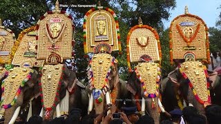 Thechikottukavu Ramachandran Mass Entry  Cheeram Kulangara Pooram [upl. by Idyh294]