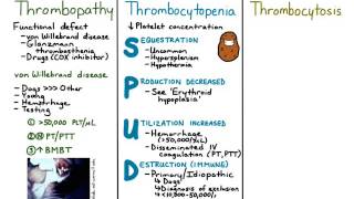 Thrombocytopenia [upl. by Hanikehs909]