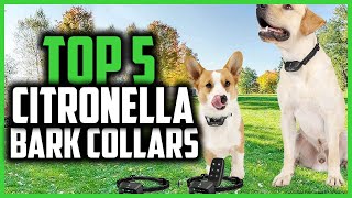 ✅Top 5 Best Citronella Bark Collars in 2024 [upl. by Yeblehs391]