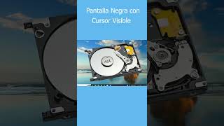 Pantalla negra con cursor visible [upl. by Aras684]