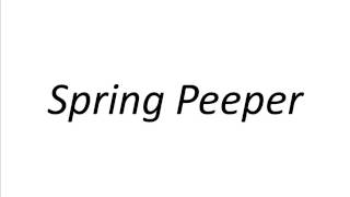 How to Pronounce Spring Peeper [upl. by Esyle714]