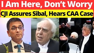 CJI Assure Sibal Hears CAA Case Dont Worry I Am Here lawchakra supremecourtofindia analysis [upl. by Cottrell12]