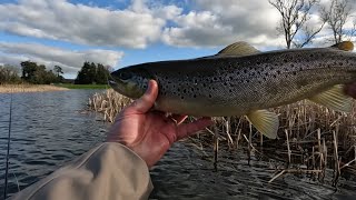 Flyfishing for brownies and rainbows Sinking line stevesgonefishing [upl. by Nylodam]