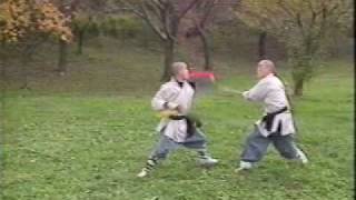 shaolin monks music video [upl. by Aramit]