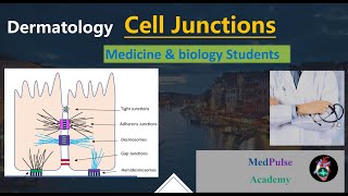 Cell Junctions Physiology 6 Important typescell junctions cell junctions physiology [upl. by Nilats]