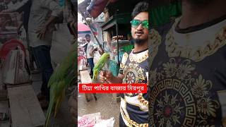 টিয়া পাখির সাপ্তাহিক হাট বা বাজার  Tiya Pakhi  টিয়া পাখি  পাখির হাট  Pakhir Hat  পাখি shorts [upl. by Notyap]