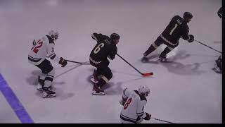 NHL Arizona Coyotes vs Minnesota Wild [upl. by Bridwell]