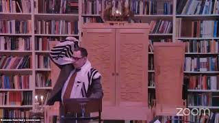 Rabbi Ingber on Parsha Beshalach [upl. by Anoirb934]