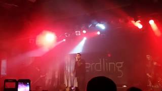 Erdling  Aus den Tiefen amp Intro 07012017 München [upl. by Zenia]