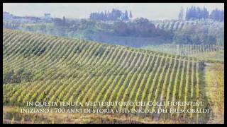 La Tenuta di Castiglioni e i suoi vini  Marchesi de Frescobaldi [upl. by Llij858]