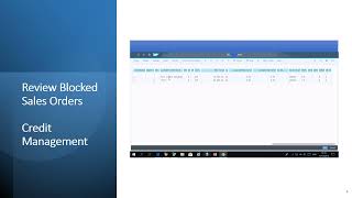 GU SAP FIORI Review Blocked Sales Orders [upl. by Ecnerolf]