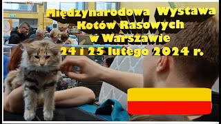 Międzynarodowa Wystawa Kotów Rasowych w Warszawie LUTY 2024 [upl. by Sharman344]