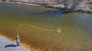 Im Back Fly Fishing Epic Rivers in the South Island [upl. by Brick]