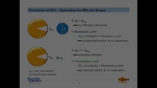 Shodex polymerbased HPLC columns  Size Exclusion Chromatography SEC  Tutorial [upl. by Zachery]