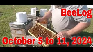 ⏱ BeeLog October 5 to 11That Bee Man [upl. by Boggs]