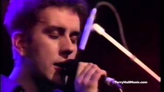 The Colour Field  Whistle Test 1985 [upl. by Gurtner]