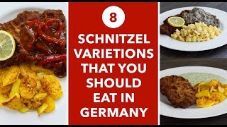 Schnitzel Food  8 SCHNITZEL VARIATIONS  Schnitzel Overview [upl. by Giardap]