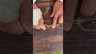 How did the Victorians waterproof wooden ships chalkehistoryfestival [upl. by Norita]