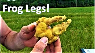 Frog Legs  Catch and Cook [upl. by Bigod369]