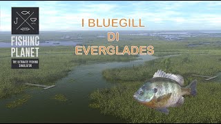 Fishing Planet I Bluegill di Everglades [upl. by Losiram]