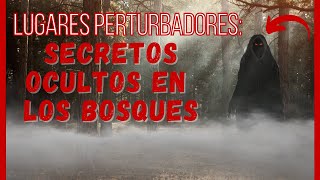 Bosques MALDITOS Entre Leyendas y Fantasmas [upl. by Leahcimsemaj]