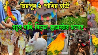 মিরপুর ১ পাখির হাটে পাখি এসেছে প্রচুর কিন্তু  ক্রেতা কম  Mirpur 1 pakhir hat [upl. by Hephzipa]