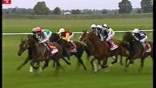 2002 Tote Cambridgeshire Handicap [upl. by Surtimed34]