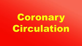 Coronary Circulation Definition and Function [upl. by Lattie702]