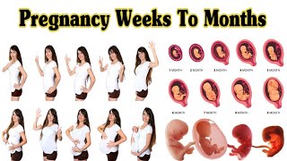 development of the placentalabor and delivery  birthembryologyplacental maternal side formation [upl. by Lennor]