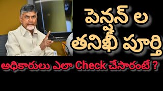 పెన్షన్ ల తనిఖీ పూర్తి అధికారులు ఎలా check చేసారంటే [upl. by Fechter]