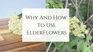 Why and How to use Elderflowers [upl. by Jahdol]