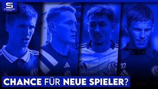 Gewinner unter van Wonderen Diese Spieler können vom Trainerwechsel profitieren  S04 Analyse [upl. by Assirralc293]