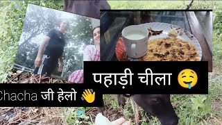 पहाड़ी चिला 😋 Rituchamoli Daily vlogging channel full recipe 😋 check Instragram [upl. by Ecnerol]