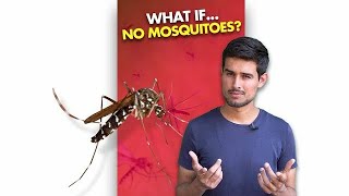 What If We KLL All the Mosquitoes [upl. by Gasper]