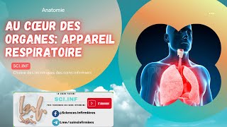 Au cœur des organes Appareil respiratoire [upl. by Aken]