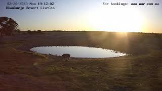 Okaukuejo Resort Wildlife Waterhole Live camera stream in the Etosha National Park in Namibia [upl. by Hettie]