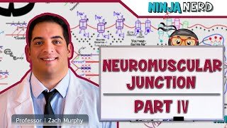 Musculoskeletal System  Neuromuscular Junction Pathologies Part 4 [upl. by Lower782]